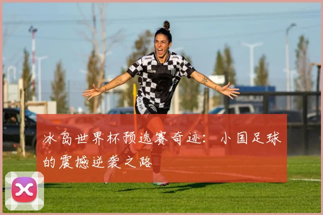 冰岛世界杯预选赛奇迹：小国足球的震撼逆袭之路