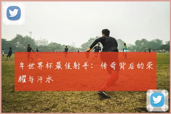 年世界杯最佳射手:传奇背后的荣耀与汗水