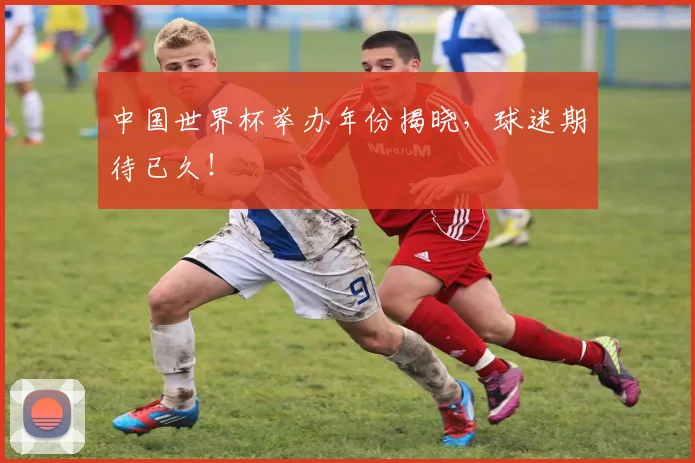 中国世界杯举办年份揭晓，球迷期待已久！