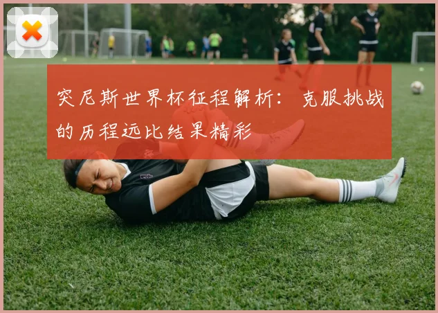 突尼斯世界杯征程解析:克服挑战的历程远比结果精彩