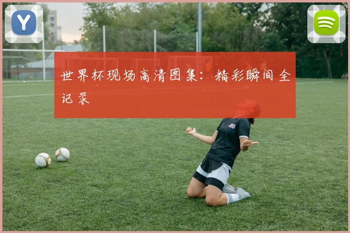 世界杯现场高清图集：精彩瞬间全记录