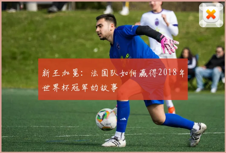 新王加冕：法国队如何赢得2018年世界杯冠军的故事